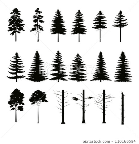 Silhouette of Trees Silhouette of Trees 110166584