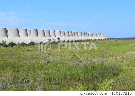 Coastal wave-dissipating block Coastal wave-dissipating block 110167216