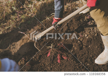 field, gents, male 110168356