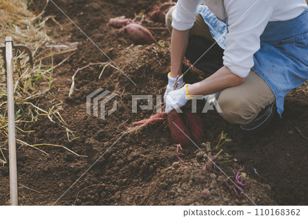 原野 田地 領域 110168362