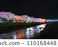 Kawazu cherry tree at night 110168448