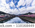 Blue sky and Kawazu cherry blossoms 110168449