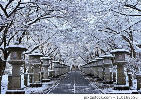 冬季高山寺 110168556