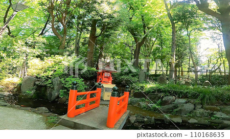 日本東京新宿區十二社熊野神社。新宿中央公園附近充滿大自然氣息的神社 110168635
