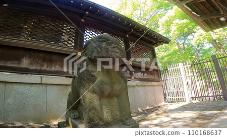 Junisha Kumano Shrine Shinjuku Ward, Tokyo, Japan. A shrine full of nature near Shinjuku Central Park Junisha Kumano Shrine Shinjuku Ward, Tokyo, Japan. A shrine full of nature near Shinjuku Central Park 110168637