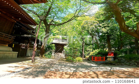 Junisha Kumano Shrine Shinjuku Ward, Tokyo, Japan. A shrine full of nature near Shinjuku Central Park 110168641