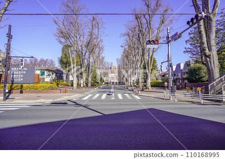 Seikei University Seikei University 110168995