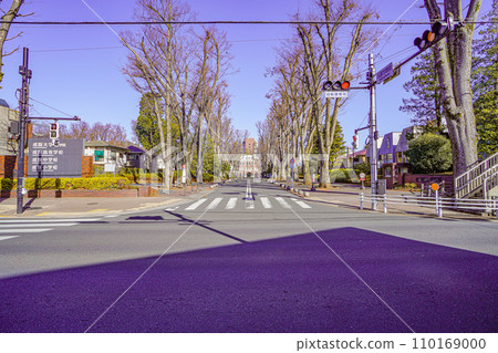 Seikei University Seikei University 110169000