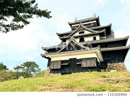 Matsue Castle Matsue Castle 110169969