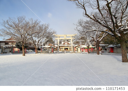 Gokoku Shrine snow scene 110171453