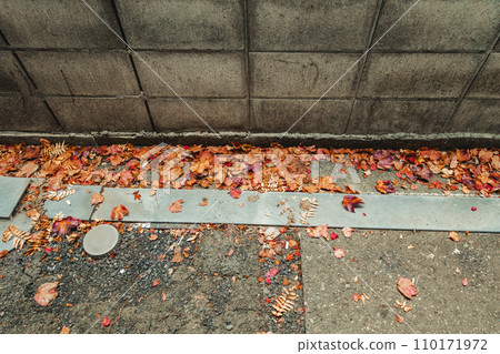 block wall and fallen leaves block wall and fallen leaves 110171972