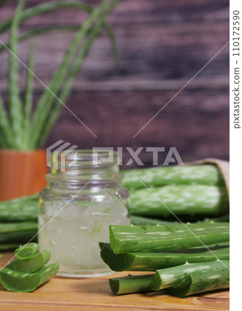 Fresh Raw Aloe Vera on Table After Harvest 110172590