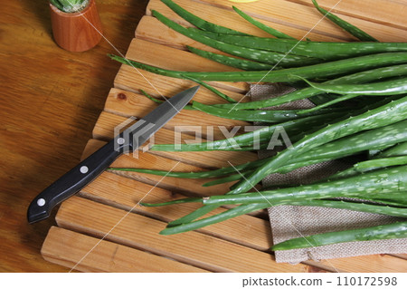 Fresh Raw Aloe Vera on Table After Harvest Fresh Raw Aloe Vera on Table After Harvest 110172598