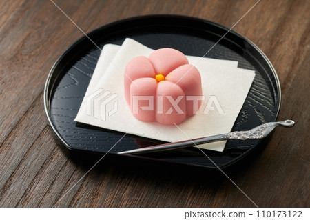 Japanese confectionery image 110173122