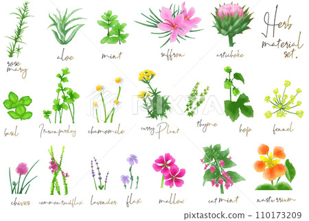 Watercolor herb botanical material set 110173209