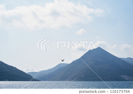 Seagull flies over the sea against the backdrop of a mountain range in a light haze 110173784