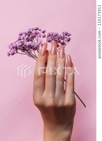 Female hands with pink nail design hold gypsophila flowers. Female hands with pink nail design hold gypsophila flowers. 110173911