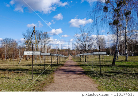 A sunny day view of a path lined with trees and grass. Alley with the names of abandoned villages in the zone of the Chernobyl nuclear disaster. Signposts with names of villages in Cyrillic. A sunny day view of a path lined with trees and grass. Alley with the names of abandoned villages in the zone of the Chernobyl nuclear disaster. Signposts with names of villages in Cyrillic. 110174533