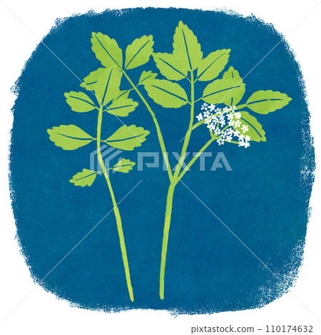Illustration of spring seven herbs seri 110174632