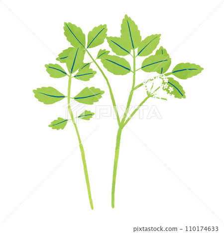 Illustration of spring seven herbs seri 110174633