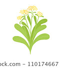 Illustration of spring seven herbs Gogyo 110174667