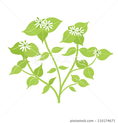 Illustration of spring seven herbs Hotokenoza Illustration of spring seven herbs Hotokenoza 110174671