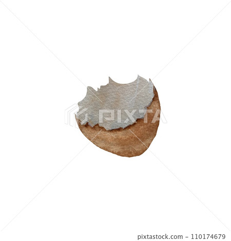 Egg brown shell hand drawn watercolor sketch Egg brown shell hand drawn watercolor sketch 110174679
