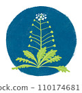 Illustration of spring seven herbs shepherdess 110174681