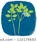Illustration of spring seven herbs seri 110174683