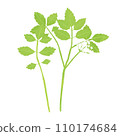 Illustration of spring seven herbs seri 110174684