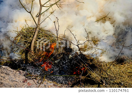 A fire burns bright, consuming dry branches and grass. A fire burns bright, consuming dry branches and grass. 110174761