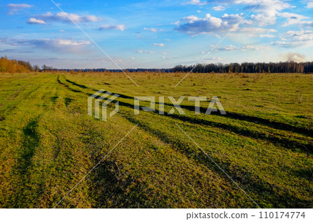 Grassland foreground, tree line midground, sky background. Grassland foreground, tree line midground, sky background. 110174774