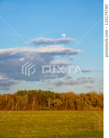 A clear sky with the moon visible, fluffy clouds, a dense forest, and an open grassy field. A clear sky with the moon visible, fluffy clouds, a dense forest, and an open grassy field. 110174780