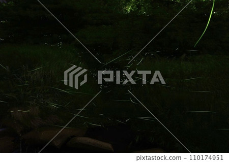Clear stream with dancing fireflies 110174951