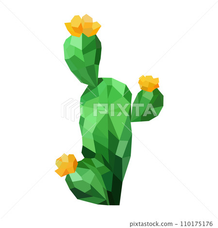 cactus capellen Golden Ball Cactus - Lemon Ball main image 1