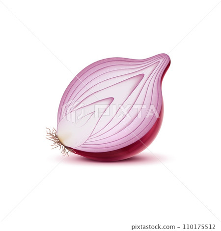 Realistic red raw onion half, isolated vegetable, pungent halved slice of purple bulb with visible layers, releases a sharp aroma. Its crisp texture promises a potent flavor, ingredient for culinary 110175512