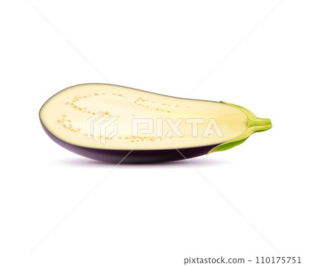Realistic raw isolated eggplant vegetable half. 3d vector sliced plant reveals its smooth, purple skin and soft, cream-colored flesh, awaiting culinary transformation for savory dishes and delights Realistic raw isolated eggplant vegetable half. 3d vector sliced plant reveals its smooth, purple skin and soft, cream-colored flesh, awaiting culinary transformation for savory dishes and delights 110175751