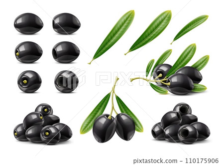 Realistic black olives. isolated raw olive branches and leaves 3d vector set. Small, dark fruits with rich, briny flavor used in mediterranean cuisine and are packed with healthy fats and antioxidants Realistic black olives. isolated raw olive branches and leaves 3d vector set. Small, dark fruits with rich, briny flavor used in mediterranean cuisine and are packed with healthy fats and antioxidants 110175906