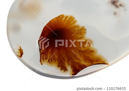 macro mineral stone Agata muschiata on a white background macro mineral stone Agata muschiata on a white background 110176635