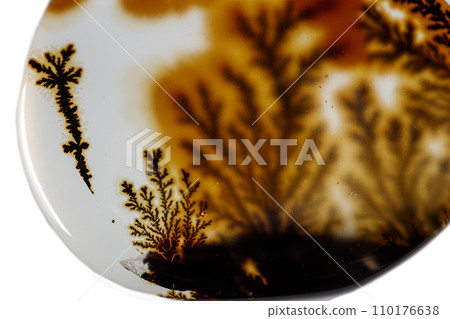 macro mineral stone Agata muschiata on a white background macro mineral stone Agata muschiata on a white background 110176638