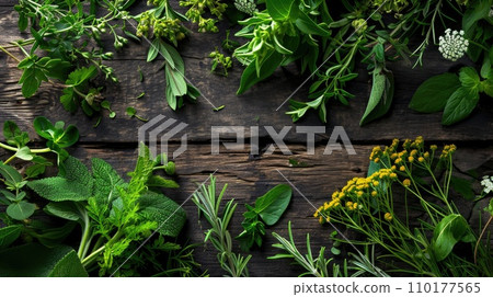 Close up of fresh herbs. Close up of fresh herbs. 110177565