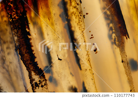 Macro mineral stone Moss Agate, Agate muschiataan white Macro mineral stone Moss Agate, Agate muschiataan white 110177743