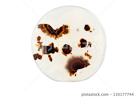 Macro mineral stone Moss Agate, Agate muschiataan white 110177744