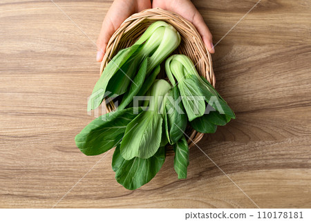 Bok choy or Pak choi (Chinese cabbage) in basket holding by hand  110178181