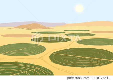An aerial view of the round fields in the desert 110178519