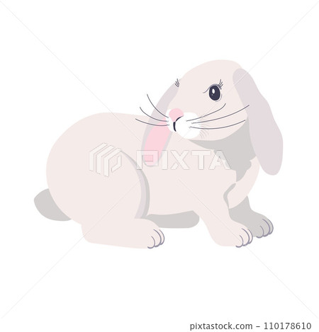 White fluffy rabbit with drooping ears White fluffy rabbit with drooping ears 110178610