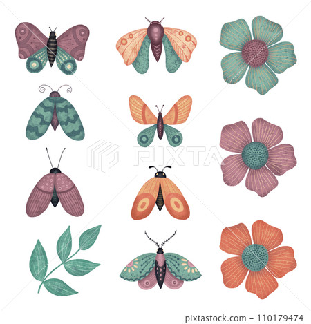 Butterflies and flowers isolated on white. Set of flying insects with colorful wings.  110179474