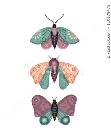 Butterflies and flowers isolated on white. Poster with flying insects with colorful wings 110179478