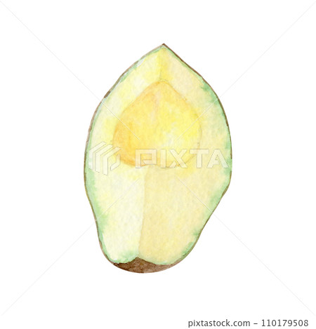 Watercolor avocado on a white background Watercolor avocado on a white background 110179508