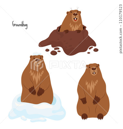 Collection Groundhogs. Rodent animal sad in snow, marmot stands and looks out of hole. Cute Isolated characters for Groundhog Day holiday design on February 2. vector illustration. Collection Groundhogs. Rodent animal sad in snow, marmot stands and looks out of hole. Cute Isolated characters for Groundhog Day holiday design on February 2. vector illustration. 110179523